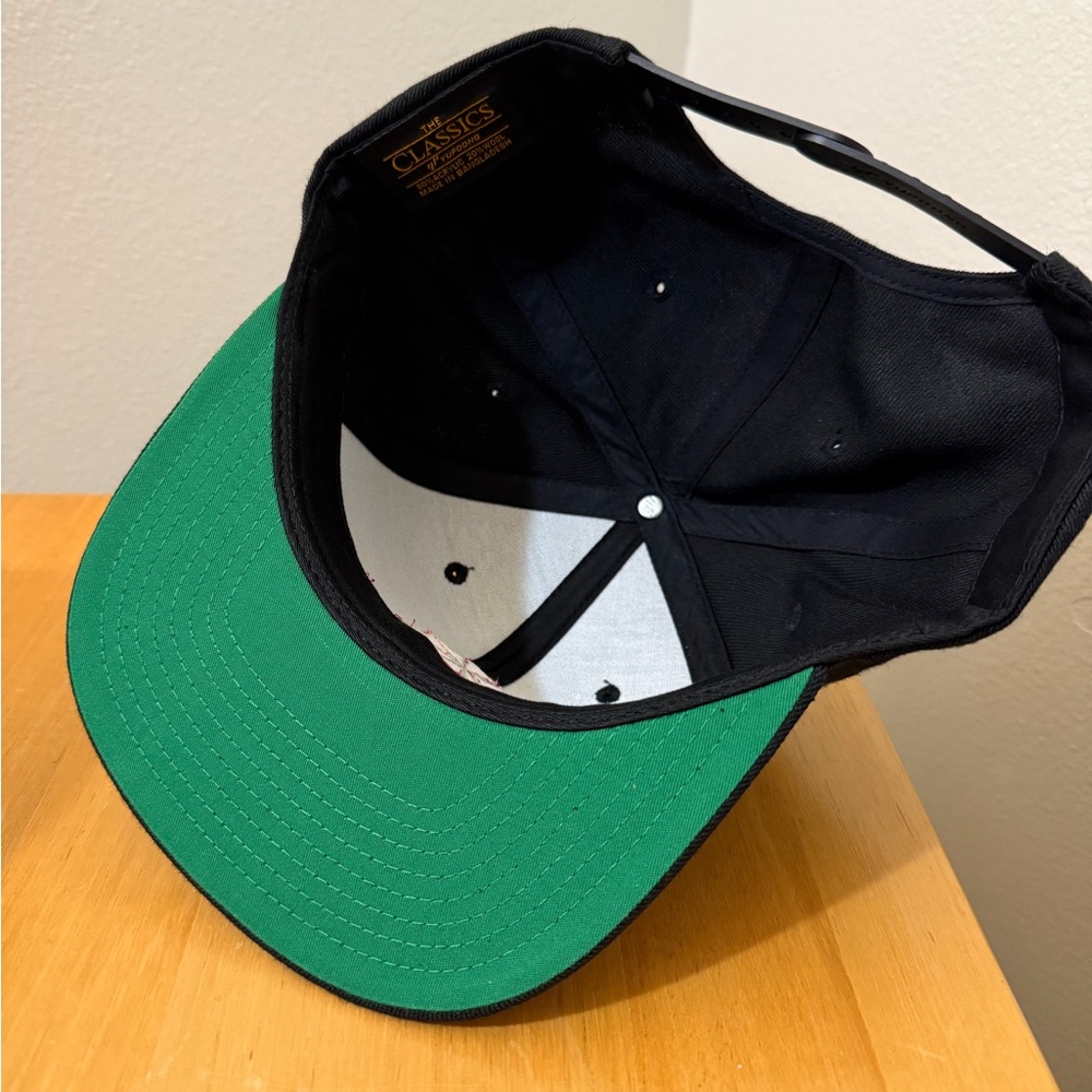 Resident Evil SnapBack Hat - Picture 2 of 3